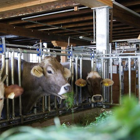 S'Landhaus Neustift im Stubaital Eksteriør bilde